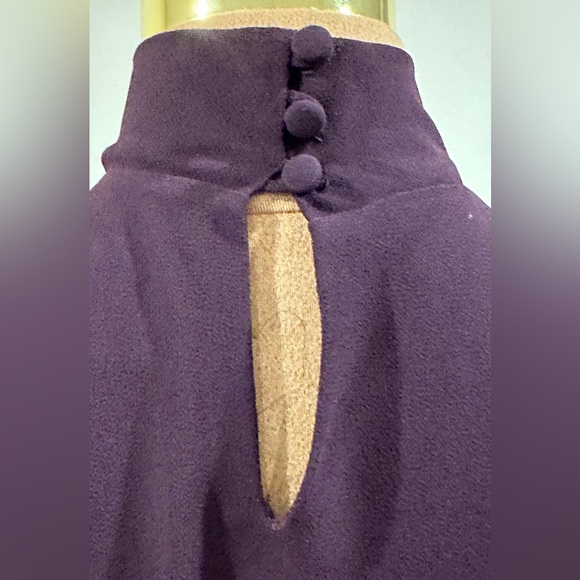 Sara Campbell Purple Plum Sheer Dress Tie In Front Turtleneck Zip On Side  Sz 6. - Picture 9 of 17